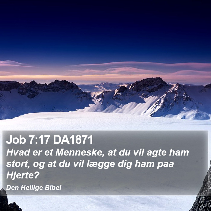 Job 7:17 DA1871 Bible Study