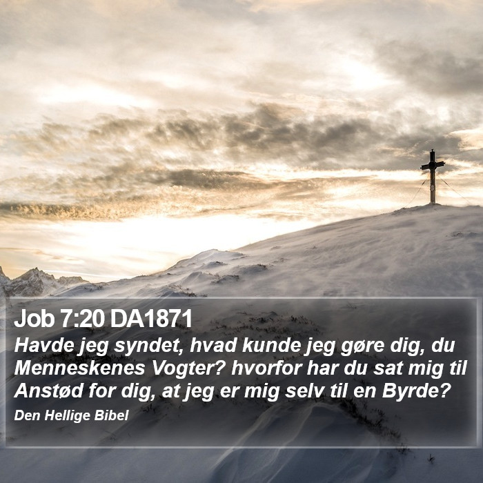 Job 7:20 DA1871 Bible Study