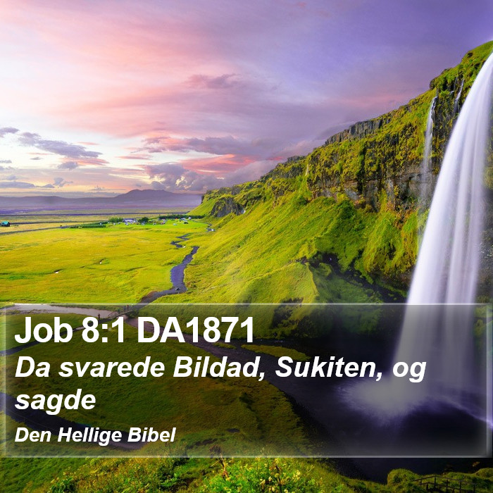 Job 8:1 DA1871 Bible Study