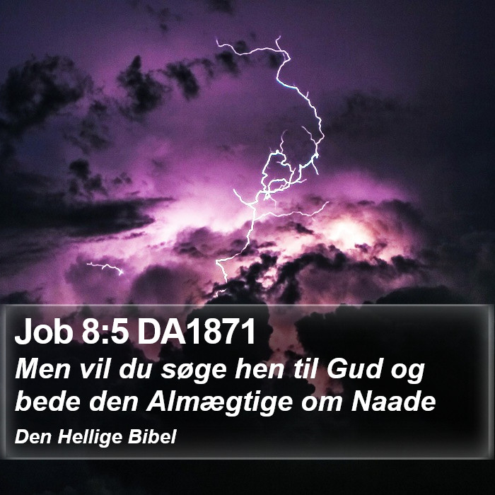 Job 8:5 DA1871 Bible Study