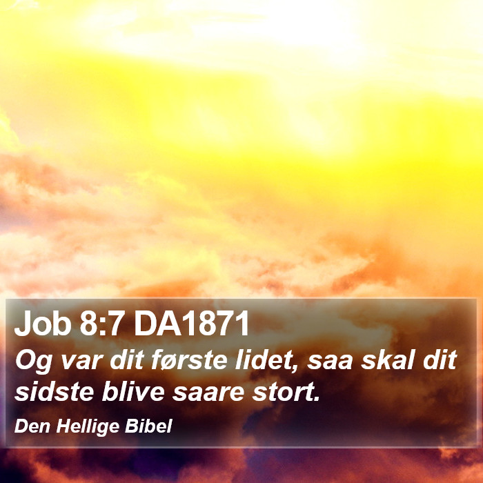 Job 8:7 DA1871 Bible Study