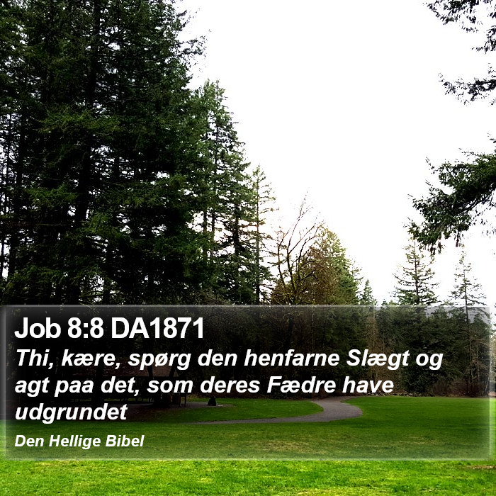 Job 8:8 DA1871 Bible Study