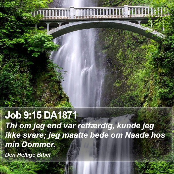 Job 9:15 DA1871 Bible Study