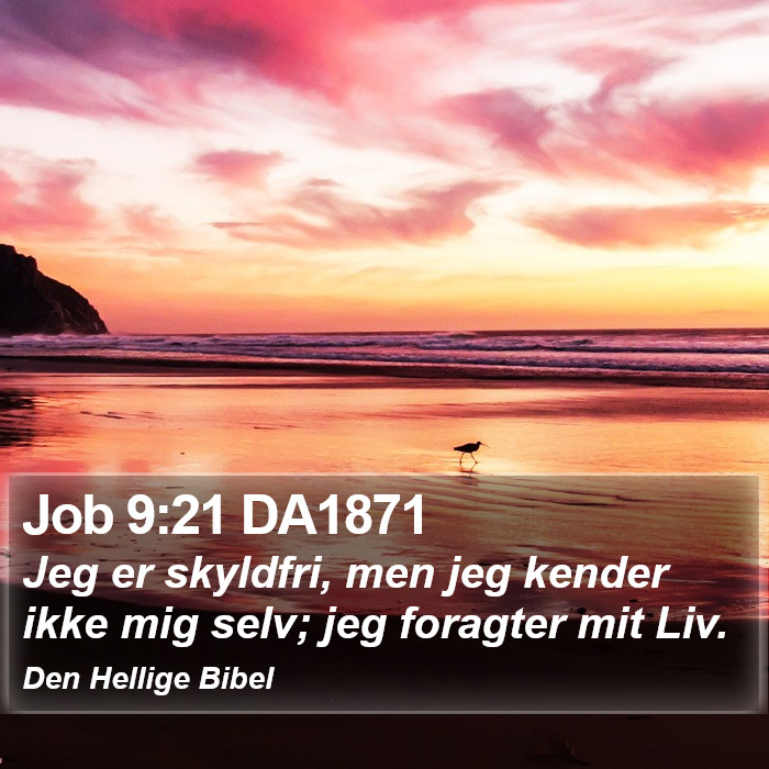 Job 9:21 DA1871 Bible Study