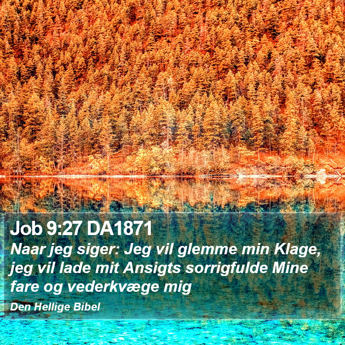 Job 9:27 DA1871 Bible Study