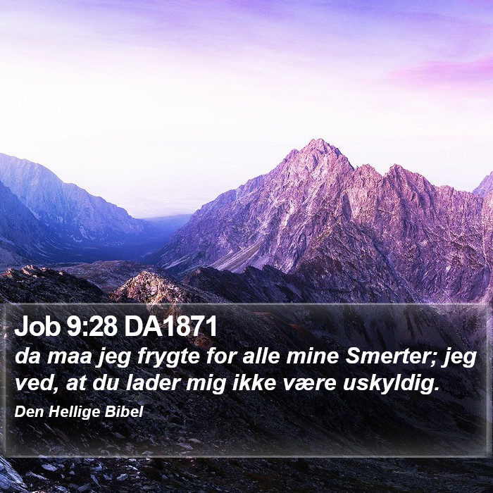 Job 9:28 DA1871 Bible Study