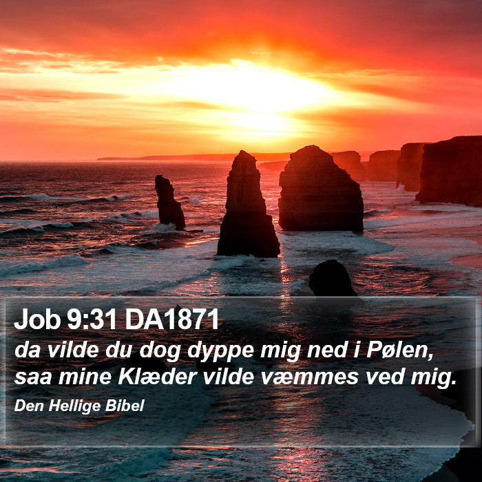 Job 9:31 DA1871 Bible Study