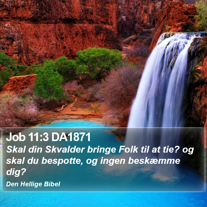 Job 11:3 DA1871 Bible Study