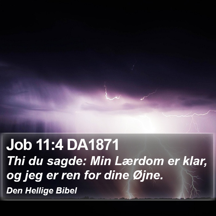 Job 11:4 DA1871 Bible Study