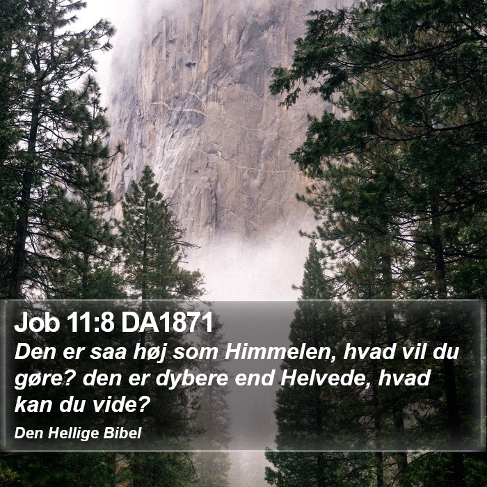 Job 11:8 DA1871 Bible Study