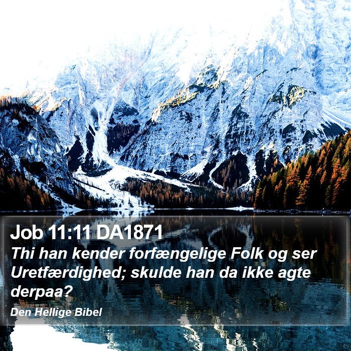 Job 11:11 DA1871 Bible Study