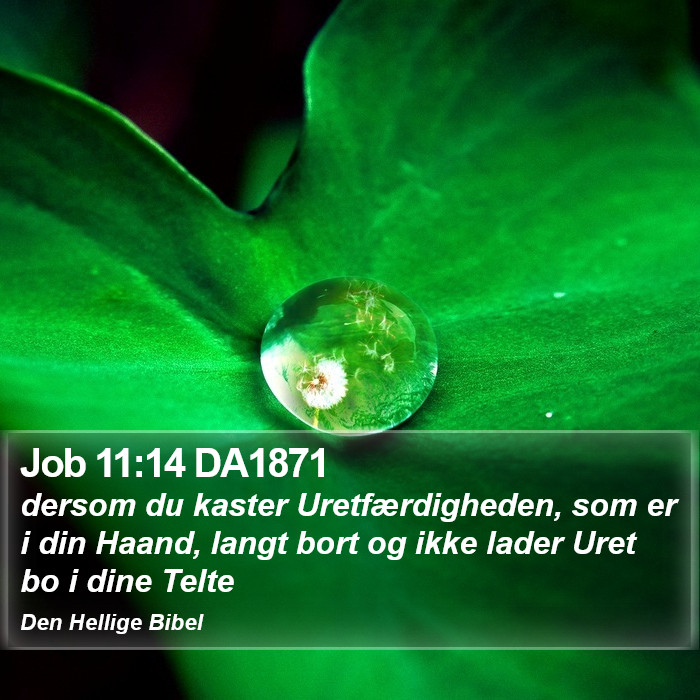 Job 11:14 DA1871 Bible Study