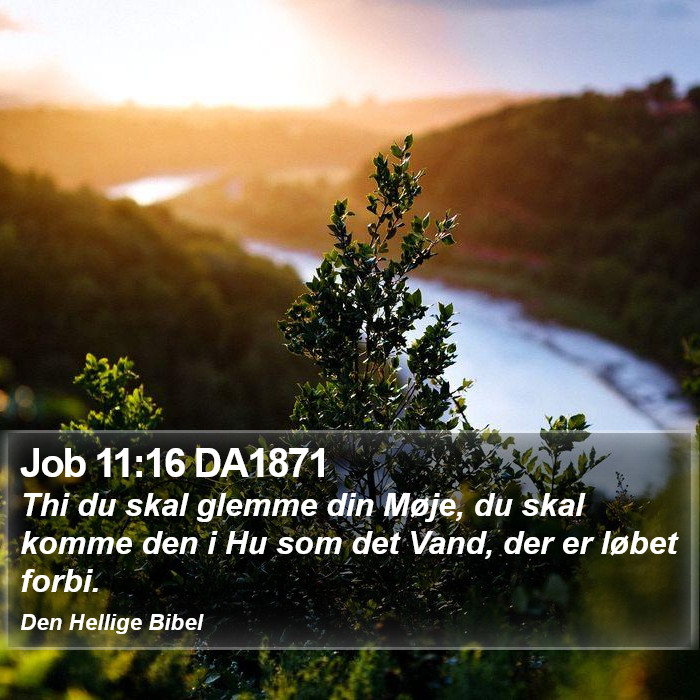 Job 11:16 DA1871 Bible Study