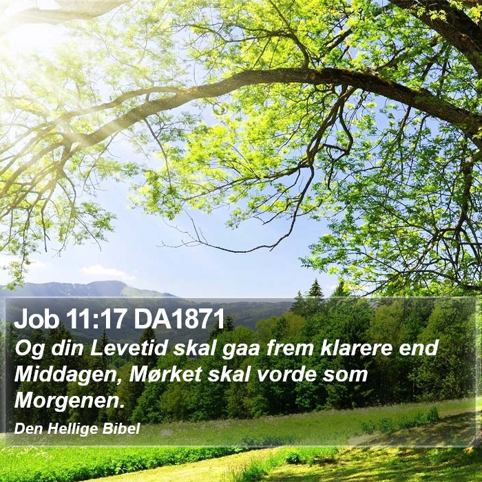 Job 11:17 DA1871 Bible Study