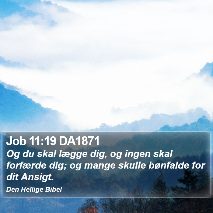 Job 11:19 DA1871 Bible Study