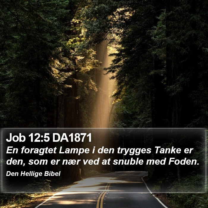 Job 12:5 DA1871 Bible Study