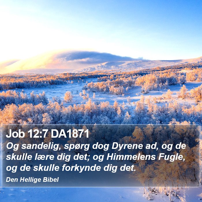 Job 12:7 DA1871 Bible Study