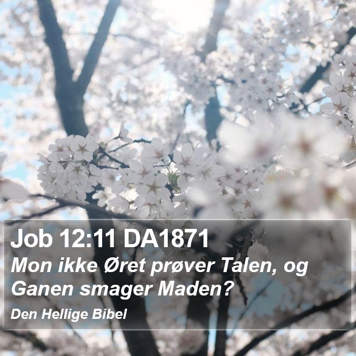 Job 12:11 DA1871 Bible Study