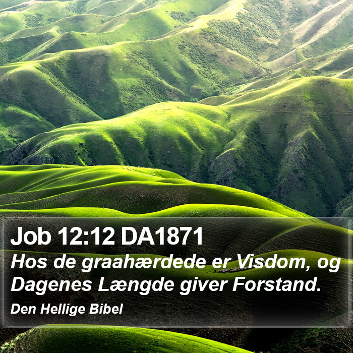 Job 12:12 DA1871 Bible Study