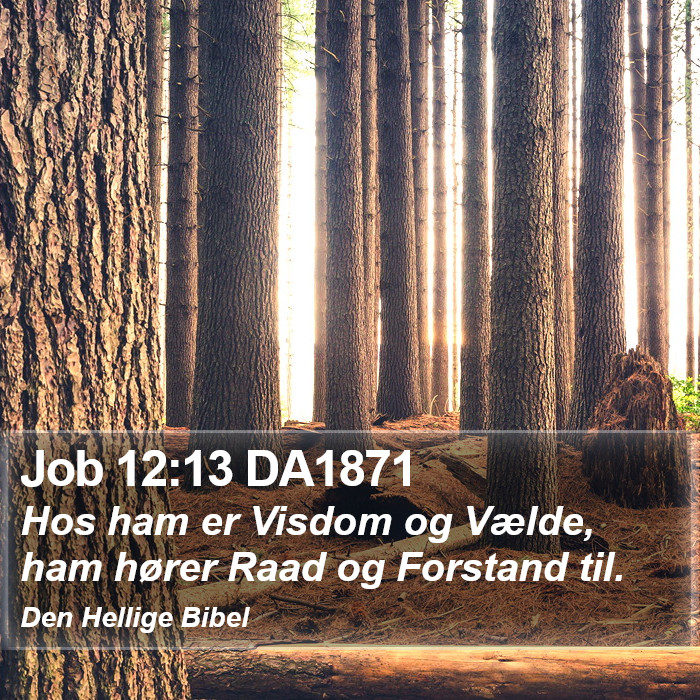 Job 12:13 DA1871 Bible Study