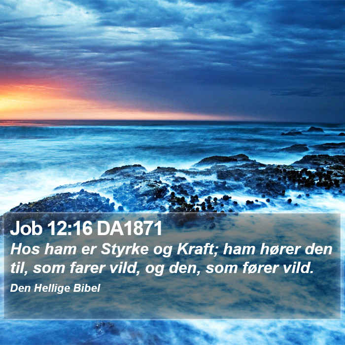 Job 12:16 DA1871 Bible Study