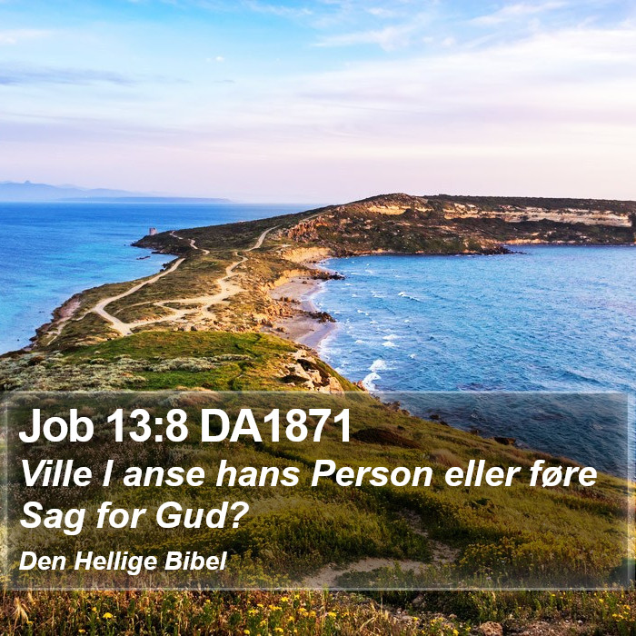 Job 13:8 DA1871 Bible Study