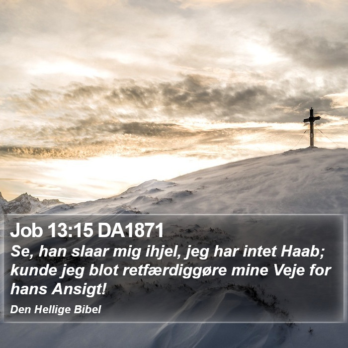 Job 13:15 DA1871 Bible Study