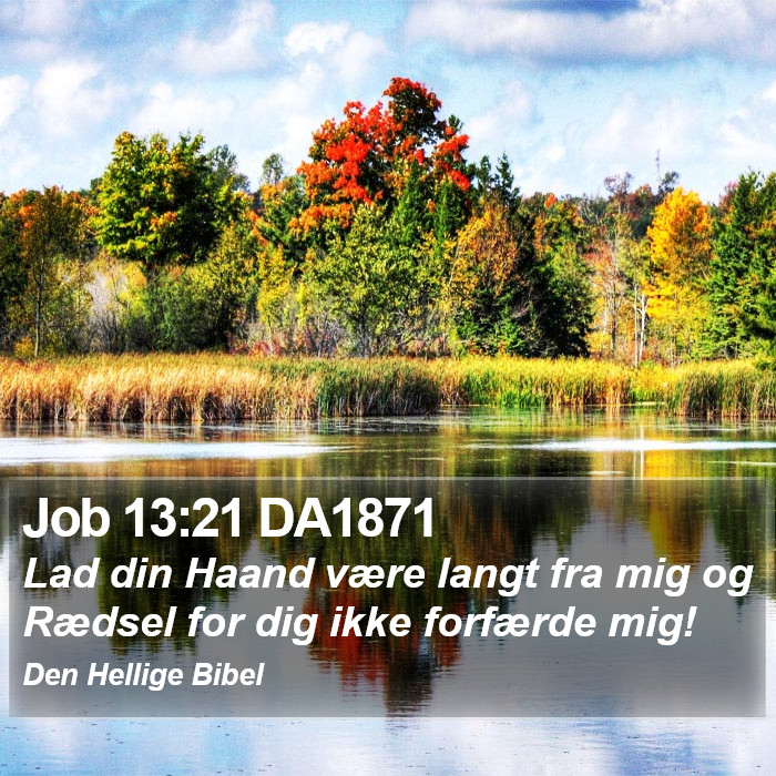 Job 13:21 DA1871 Bible Study