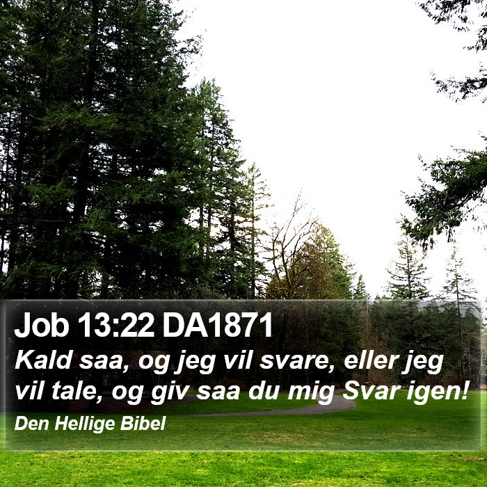 Job 13:22 DA1871 Bible Study