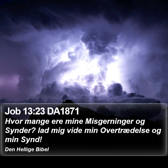 Job 13:23 DA1871 Bible Study