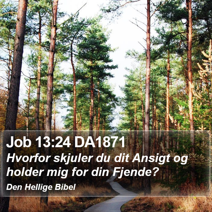 Job 13:24 DA1871 Bible Study