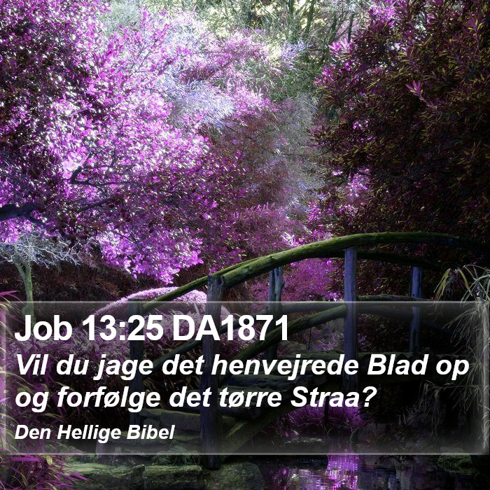 Job 13:25 DA1871 Bible Study