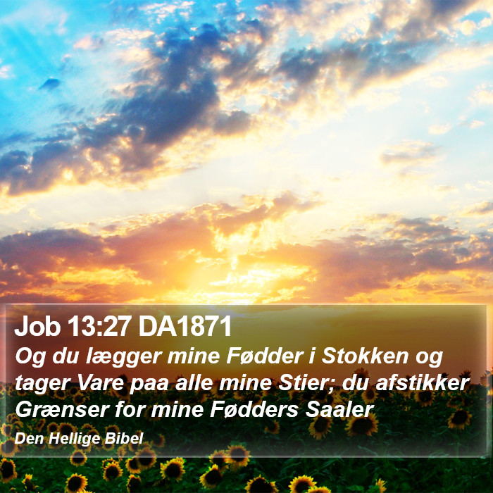 Job 13:27 DA1871 Bible Study