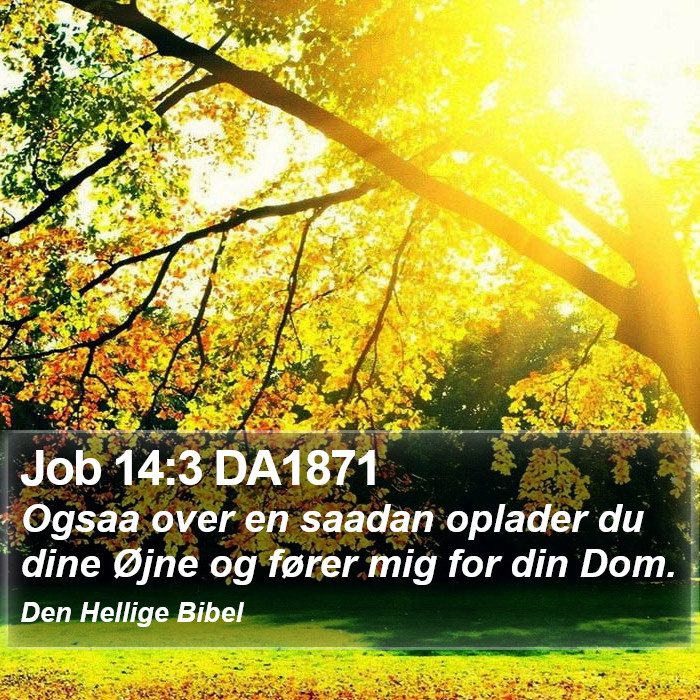 Job 14:3 DA1871 Bible Study