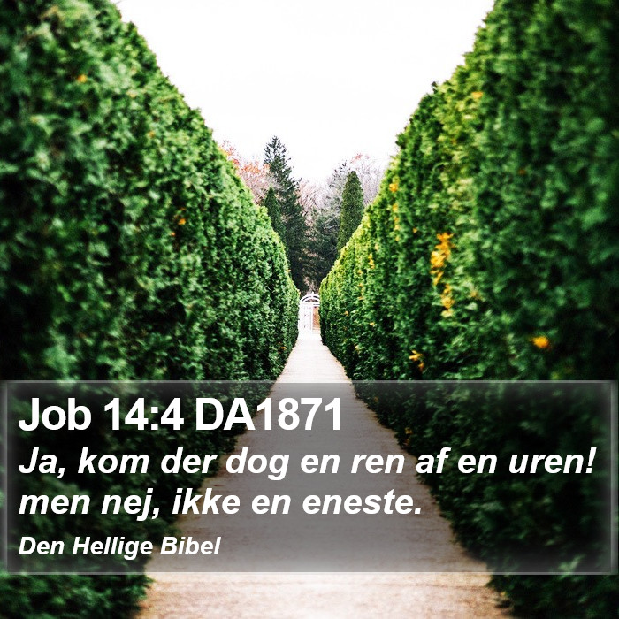 Job 14:4 DA1871 Bible Study