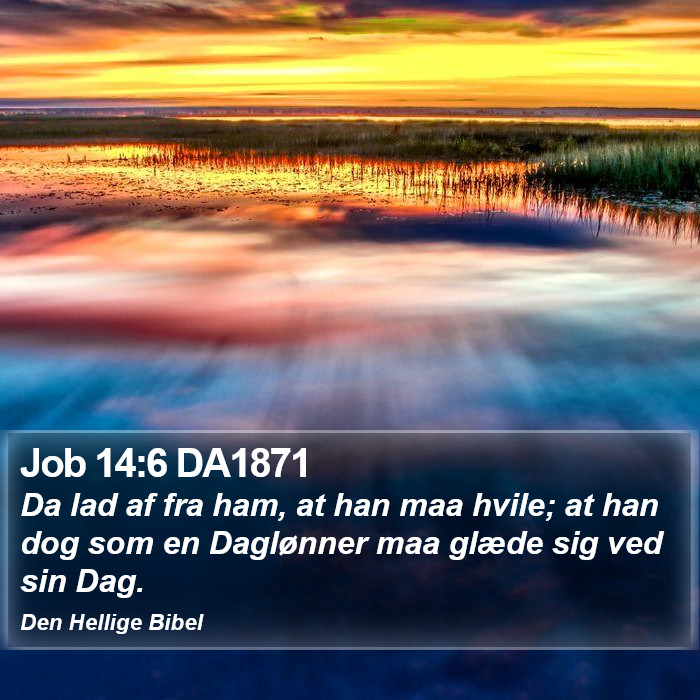 Job 14:6 DA1871 Bible Study