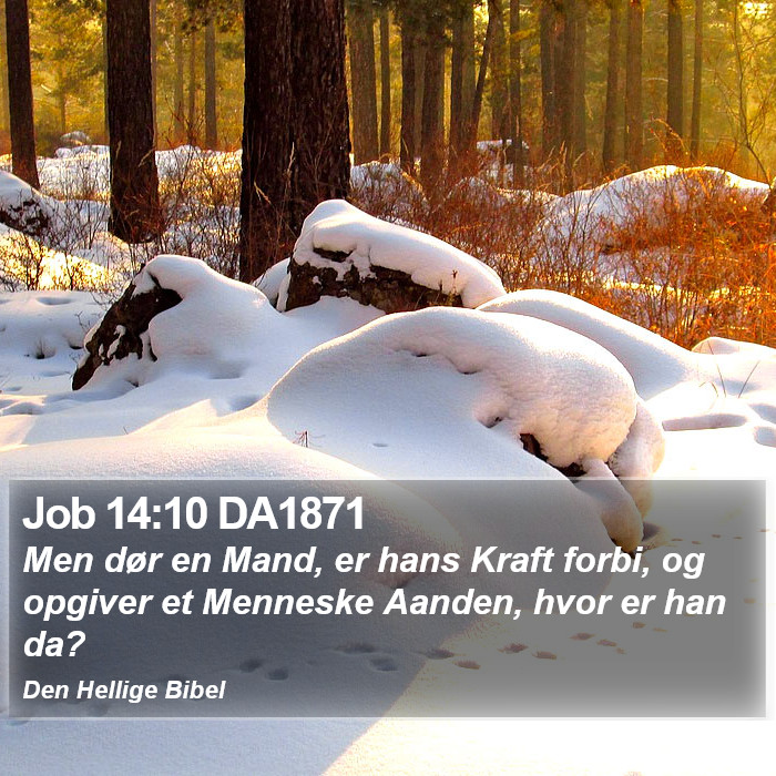 Job 14:10 DA1871 Bible Study