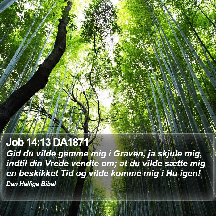 Job 14:13 DA1871 Bible Study