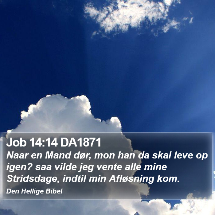 Job 14:14 DA1871 Bible Study