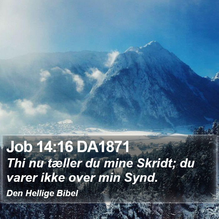 Job 14:16 DA1871 Bible Study