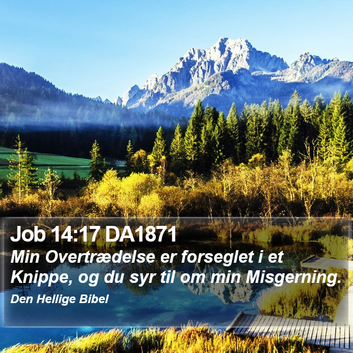 Job 14:17 DA1871 Bible Study