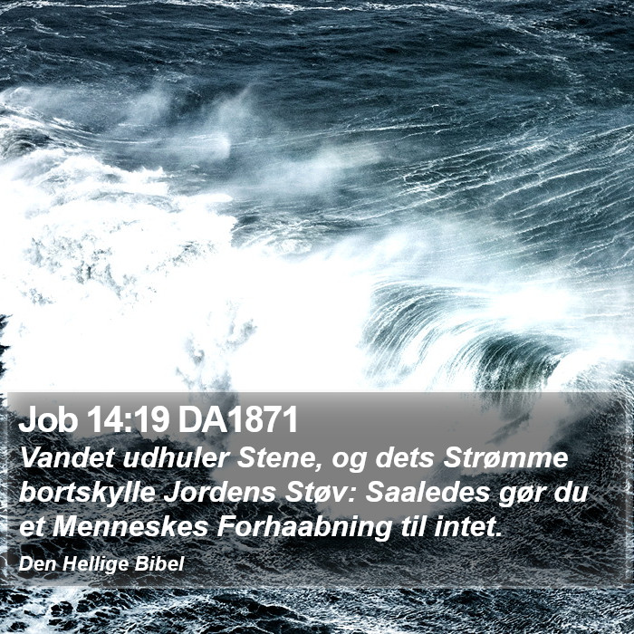 Job 14:19 DA1871 Bible Study