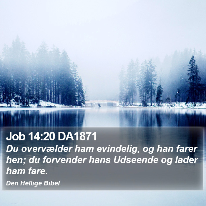 Job 14:20 DA1871 Bible Study