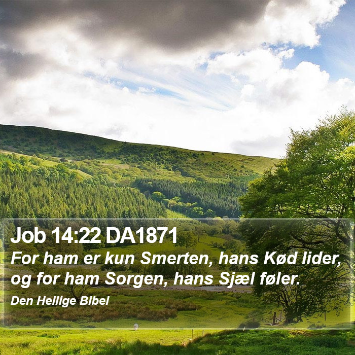 Job 14:22 DA1871 Bible Study