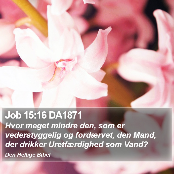 Job 15:16 DA1871 Bible Study