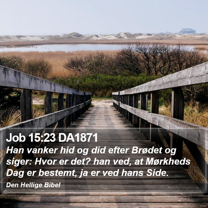 Job 15:23 DA1871 Bible Study