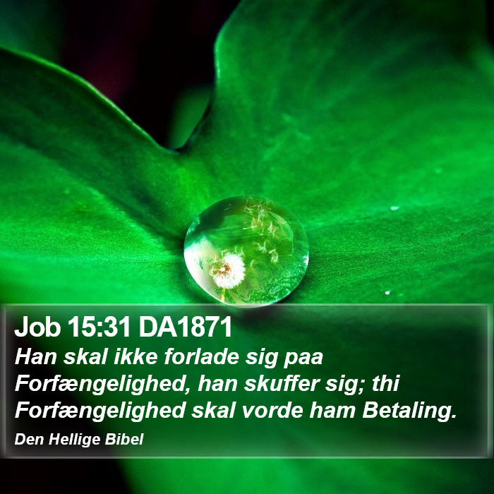 Job 15:31 DA1871 Bible Study