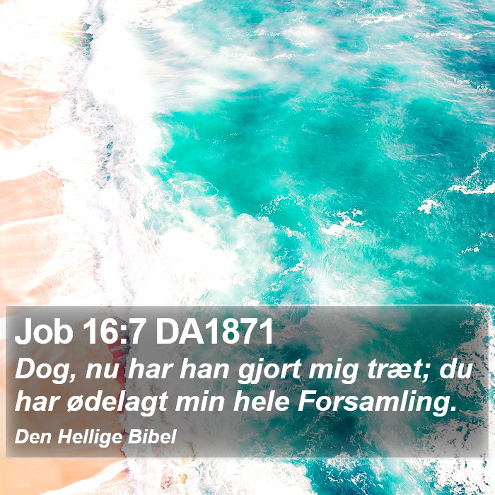 Job 16:7 DA1871 Bible Study
