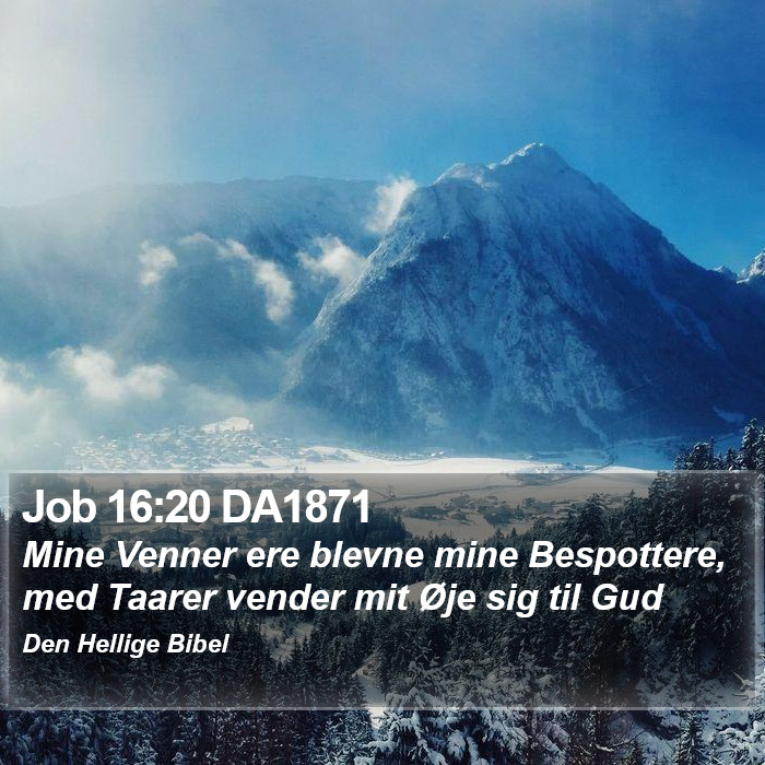 Job 16:20 DA1871 Bible Study