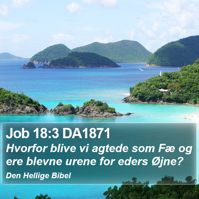 Job 18:3 DA1871 Bible Study